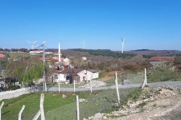 Tayakadın Türk Köşe Sefa Cami - Resim 6