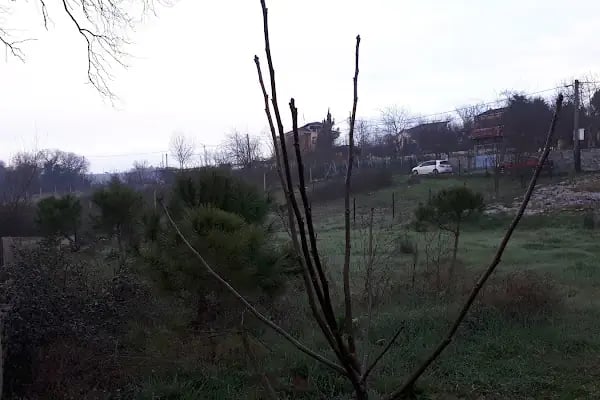 Tayakadın Türk Köşe Sefa Cami - Resim 18