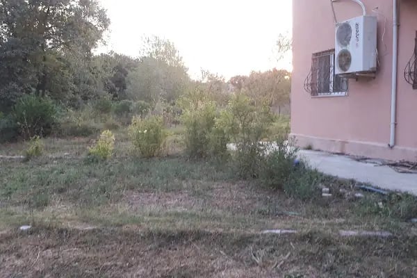 Tayakadın Türk Köşe Sefa Cami - Resim 13
