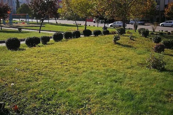 Musatafa Yücel Özbilgin Parkı - Resim 15
