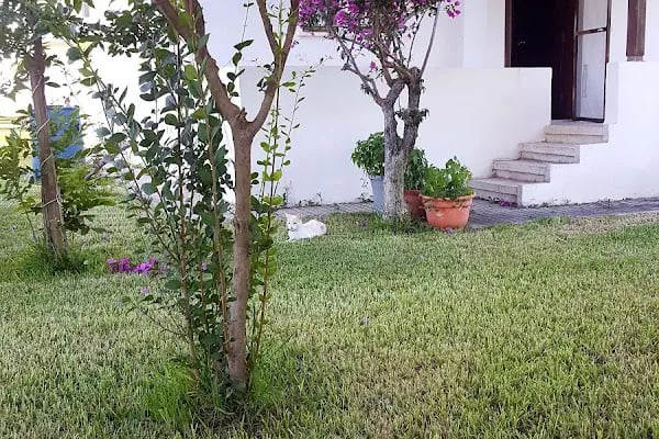 Ayas Sitesi - Resim 8