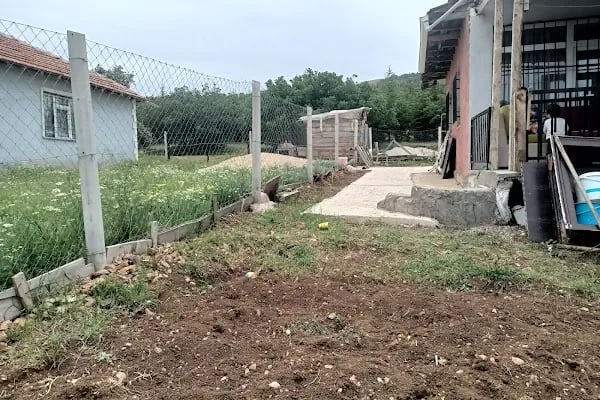 Ali tombulun yeri - Resim 4