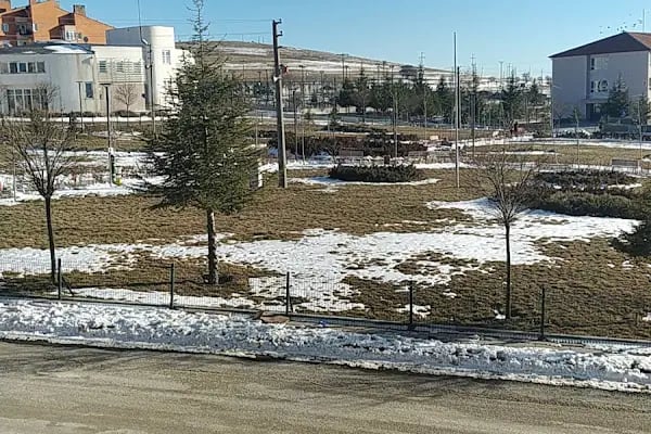 Bala Parkı - Resim 8