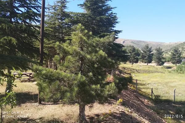 Beydağı Tabiat Parkı - Resim 11