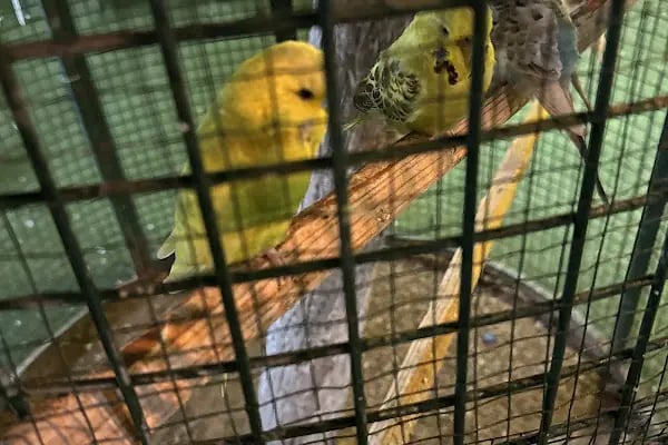 Bodrum Aqua Pet - Resim 18