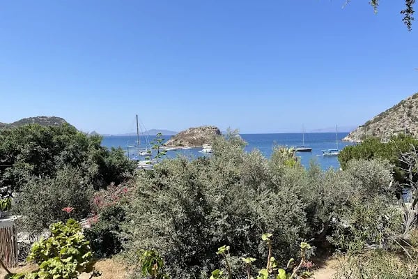 Bahçe Gümüşlük - Resim 4