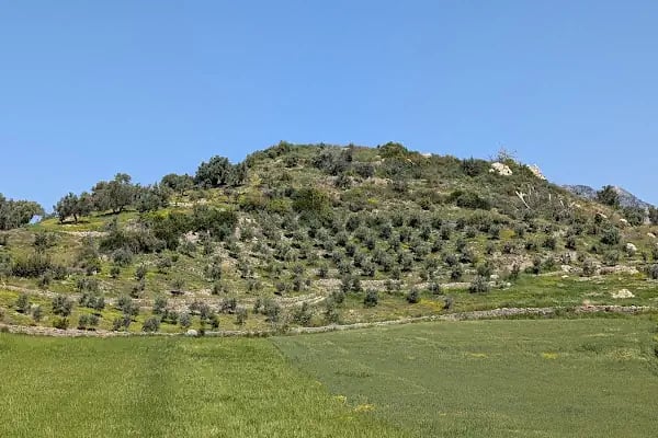 Maniola hotel - Resim 10
