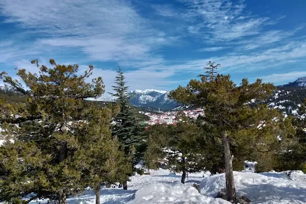Karboğazı Kayak Merkezi Küme Evler - Resim 3