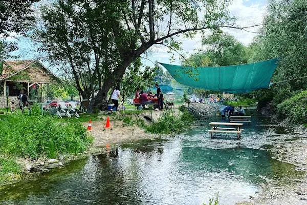 Kavaklıdere Piknik Alanı | Ayaş Ankara - Resim 15