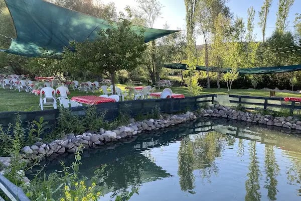 Kavaklıdere Piknik Alanı | Ayaş Ankara - Resim 5