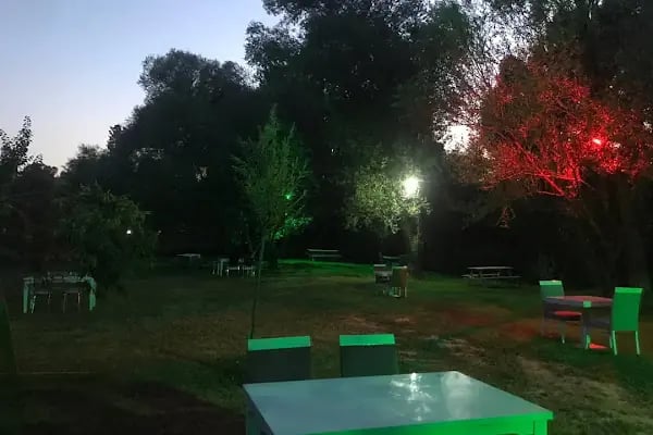 Kavaklıdere Piknik Alanı | Ayaş Ankara - Resim 19