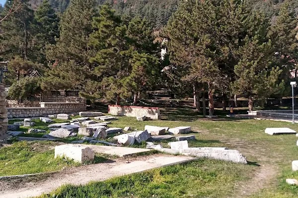 Seyyid Mahmut Türbesi - Resim 13