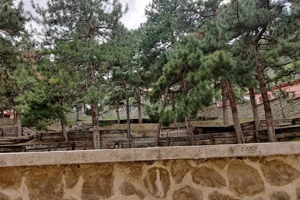 Seyyid Mahmut Türbesi - Resim 16