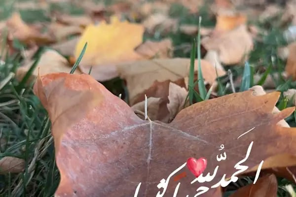 Karşıyaka Sahili - Resim 17