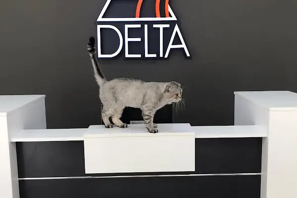 Delta Veteriner Polikliniği - Resim 16