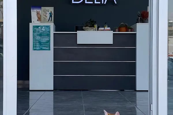 Delta Veteriner Polikliniği - Resim 10