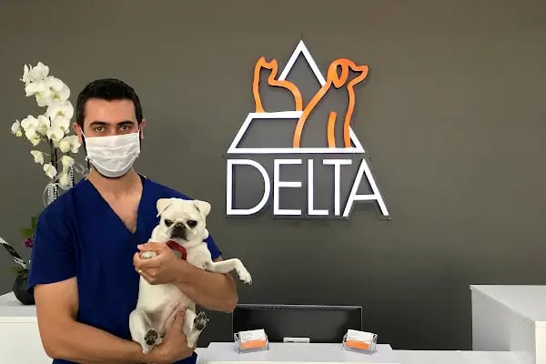 Delta Veteriner Polikliniği - Resim 17