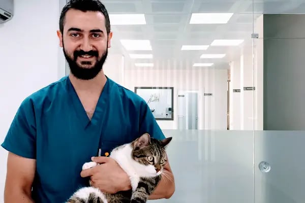 Delta Veteriner Polikliniği - Resim 3