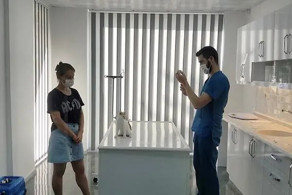 Delta Veteriner Polikliniği - Resim 5