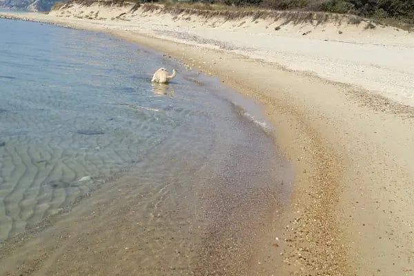 Ekşioğlu Tatil Sitesi - Resim 12