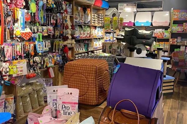Oddie Pet Shop - Resim 9