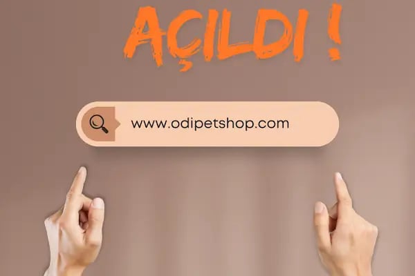 Oddie Pet Shop - Resim 2