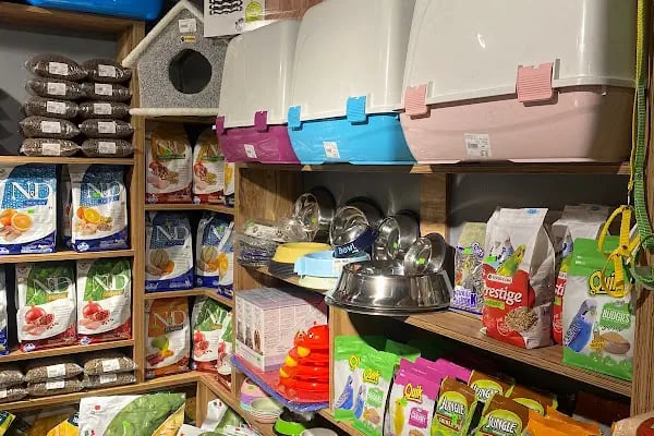 Oddie Pet Shop - Resim 11