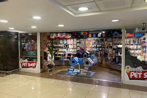Oddie Pet Shop - Resim 3