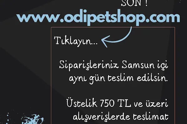 Oddie Pet Shop - Resim 14