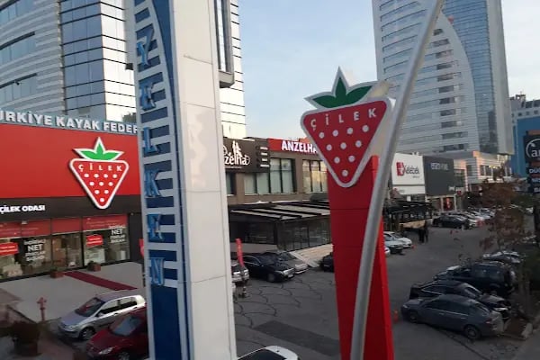 Türkiye Kayak Federasyonu - Resim 12