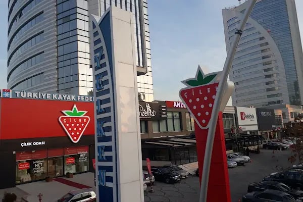 Türkiye Kayak Federasyonu - Resim 8