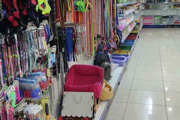 DENİZLİ BODRUM PETSHOP TOPTAN PARAKENDE - Resim 2