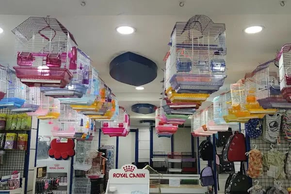 DENİZLİ BODRUM PETSHOP TOPTAN PARAKENDE - Resim 20