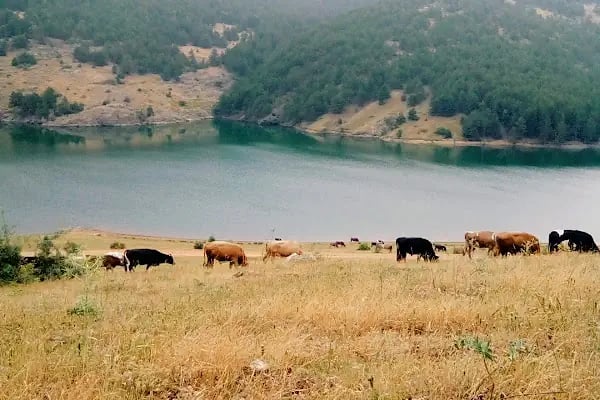 Doğanhisar Barajı - Resim 7