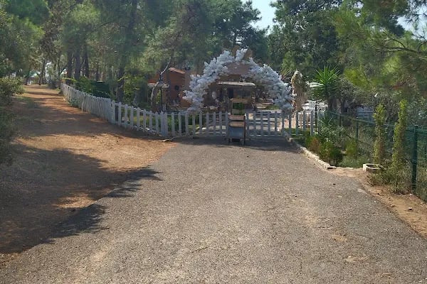 Buyukada Dilburnu - Resim 18