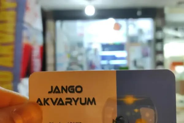 Jango Akvaryum - Resim 13