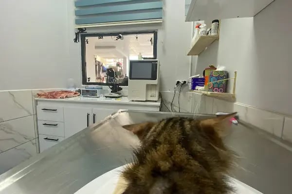 Monovet Veteriner Kliniği - Resim 4