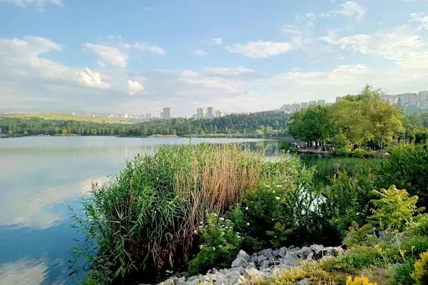 Bayındır Gölü Ankara - Resim 10