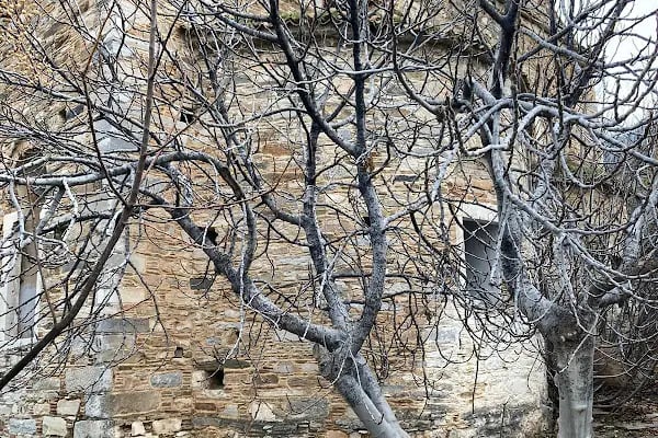Aziz Nikolaos Kilisesi - Resim 12
