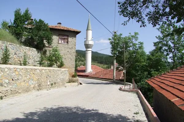 Bademli Sofuoğlu Cami - Resim 11