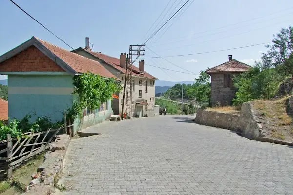 Bademli Sofuoğlu Cami - Resim 13