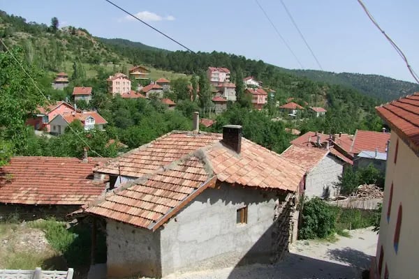 Bademli Sofuoğlu Cami - Resim 5