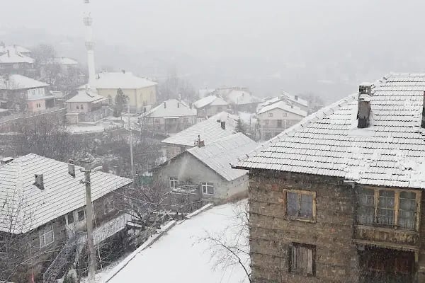 Bademli Sofuoğlu Cami - Resim 2
