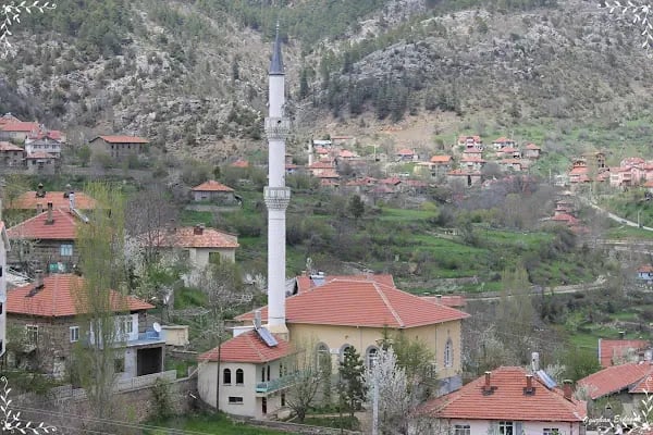 Bademli Sofuoğlu Cami - Resim 4
