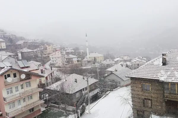 Bademli Sofuoğlu Cami - Resim 15