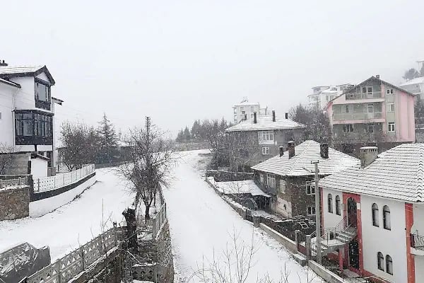 Bademli Sofuoğlu Cami - Resim 3