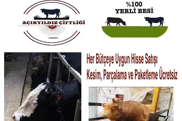 AÇIKYILDIZ BESİ ÇİFTLİĞİ KURBANLIK SATIŞ VE KESİM YERİ - Resim 8