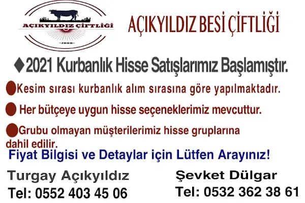 AÇIKYILDIZ BESİ ÇİFTLİĞİ KURBANLIK SATIŞ VE KESİM YERİ - Resim 10