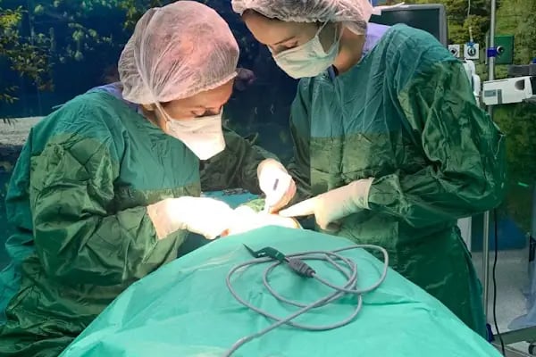 Op. Dr. Özgül Uğurtay - Resim 20