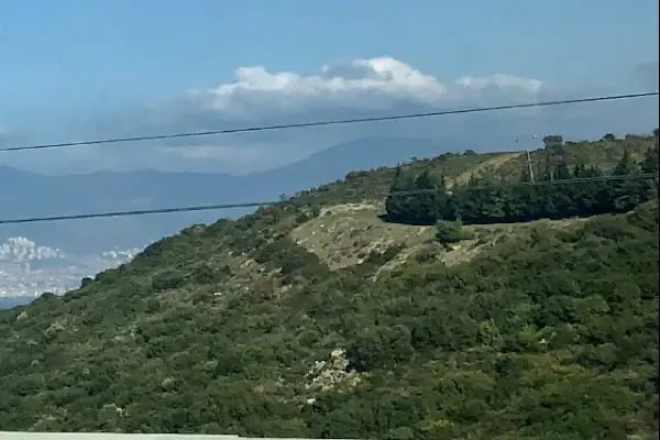 Cetin Emeç Mahalle Muhtarlığı Yeni - Resim 14